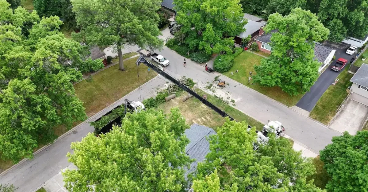 Challengers Tree Service crew clearing land lot Columbus