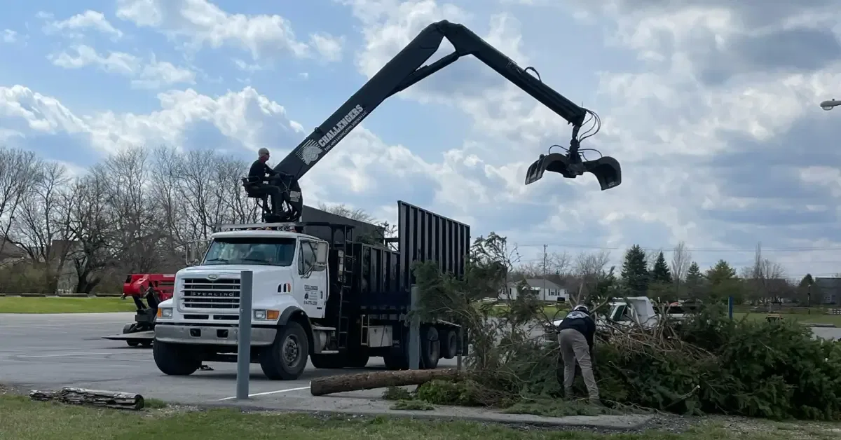Professional debris hauling after tree removal Columbus