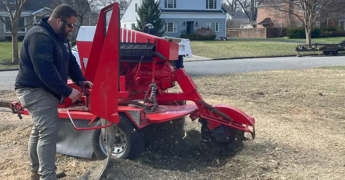 Stump grinding equipment in use Columbus, Ohio