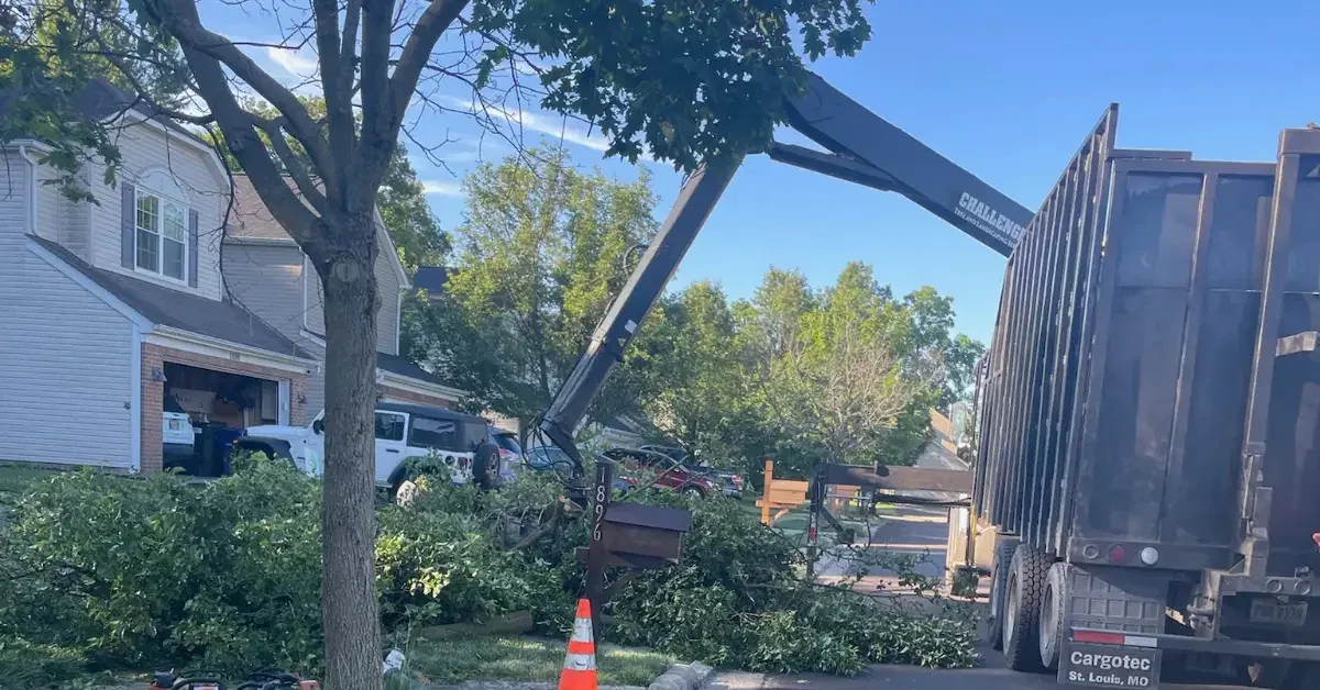 Tree Service in Worthington, OH