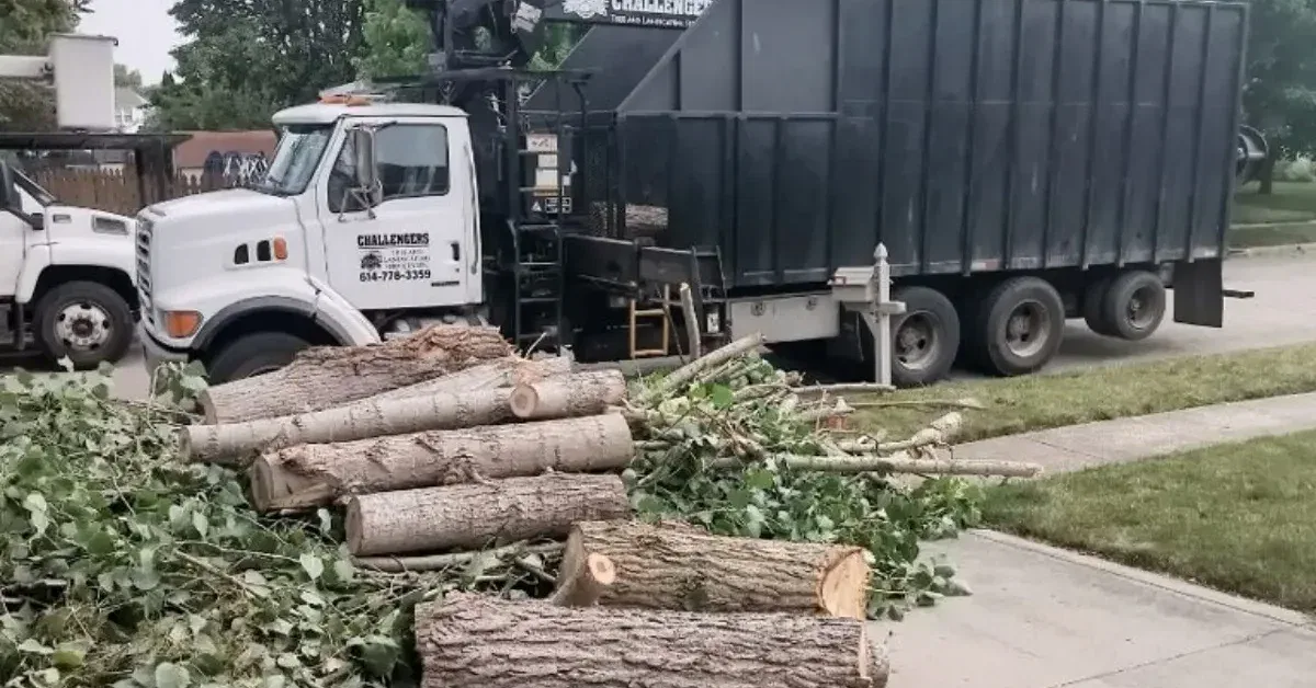 Challengers Tree Service crew hauling debris — see us in action