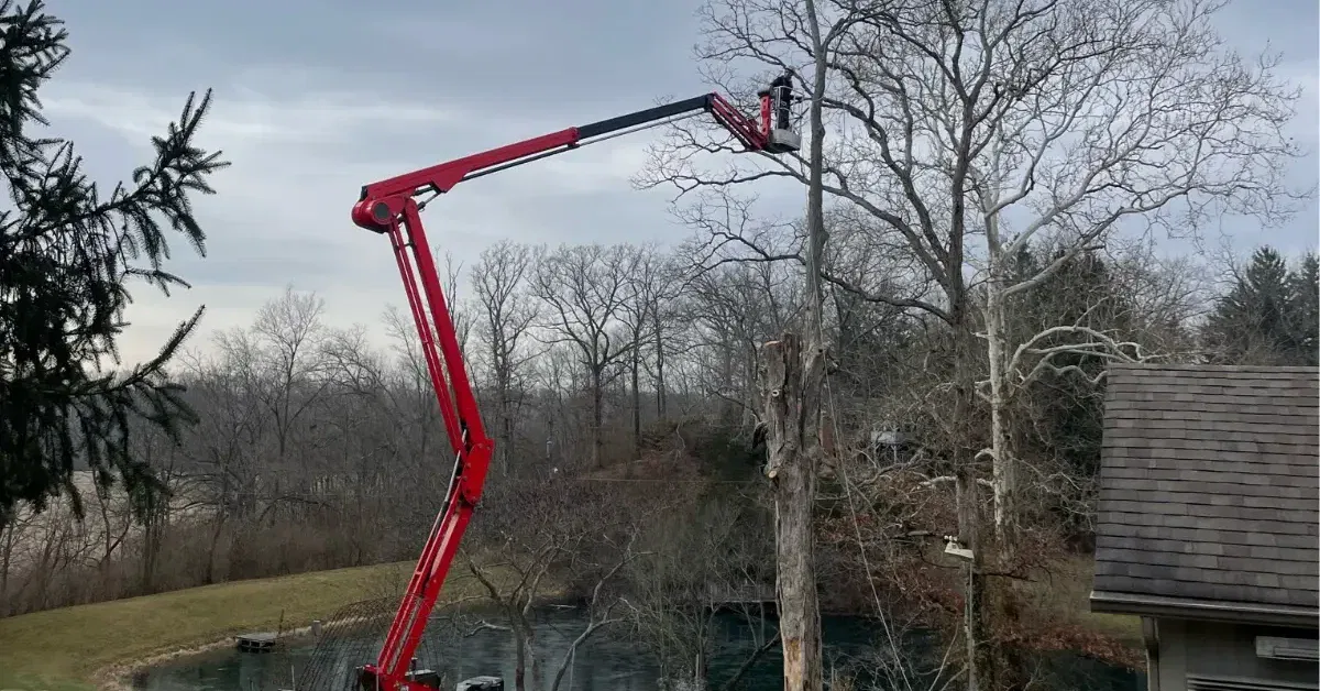 tree service columbus oh