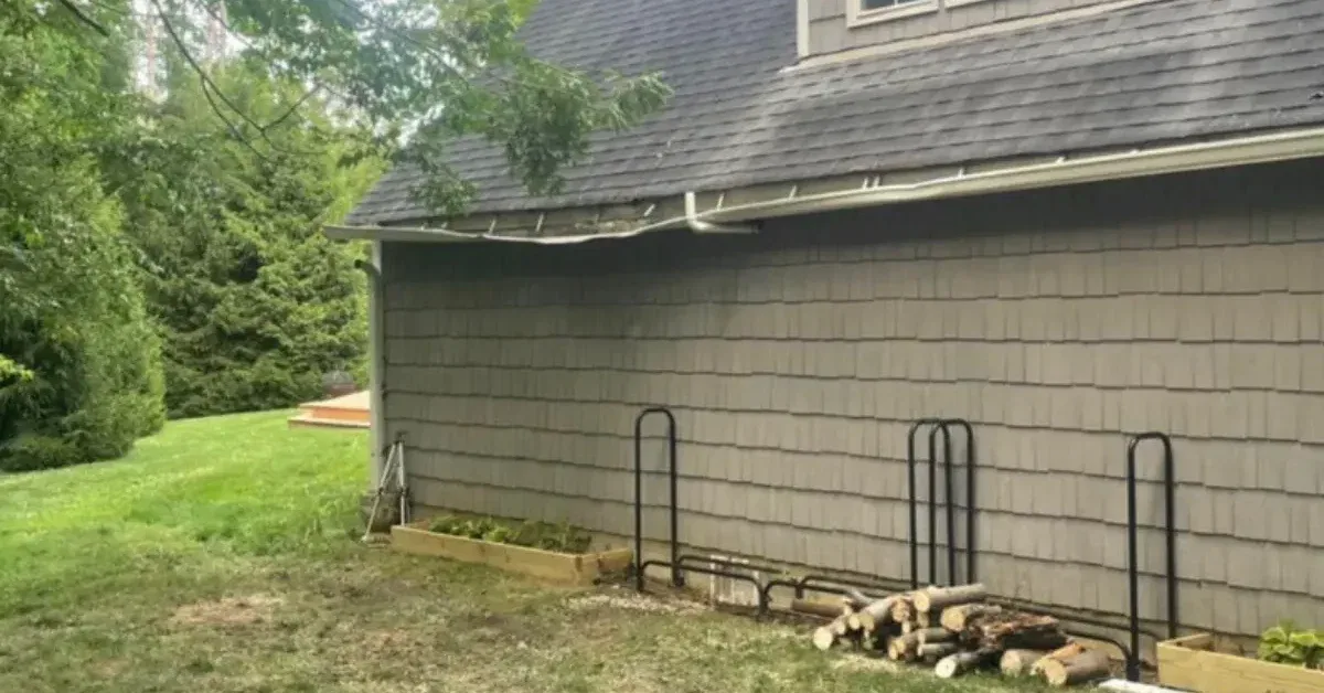 Tree care in a Columbus neighborhood showing a professional trimming a large tree, with seasonal leaves and homes in the background.