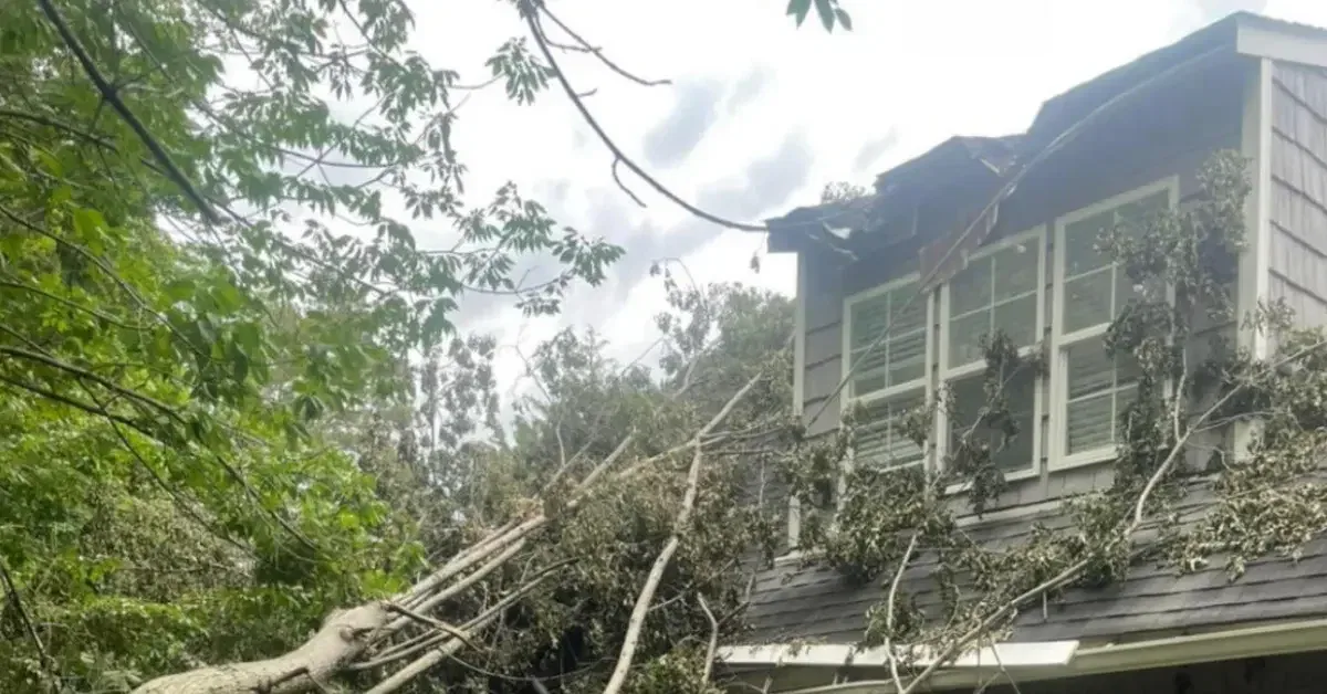 Large tree crashed through roof after Ohio storm