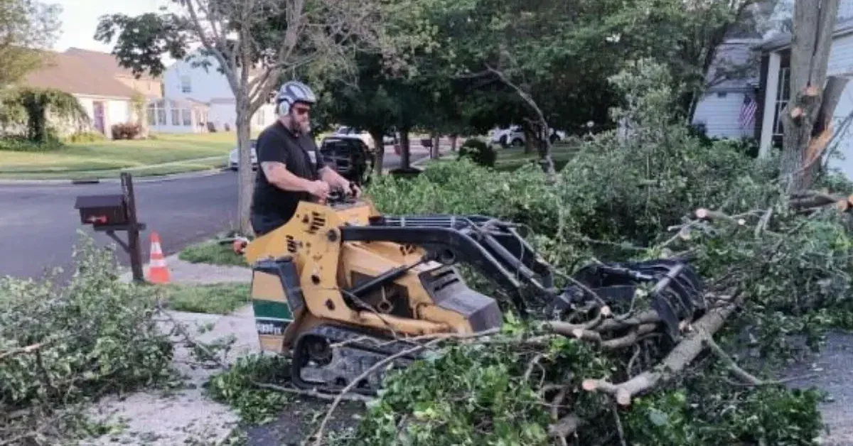 Tree service in Gahanna, OH