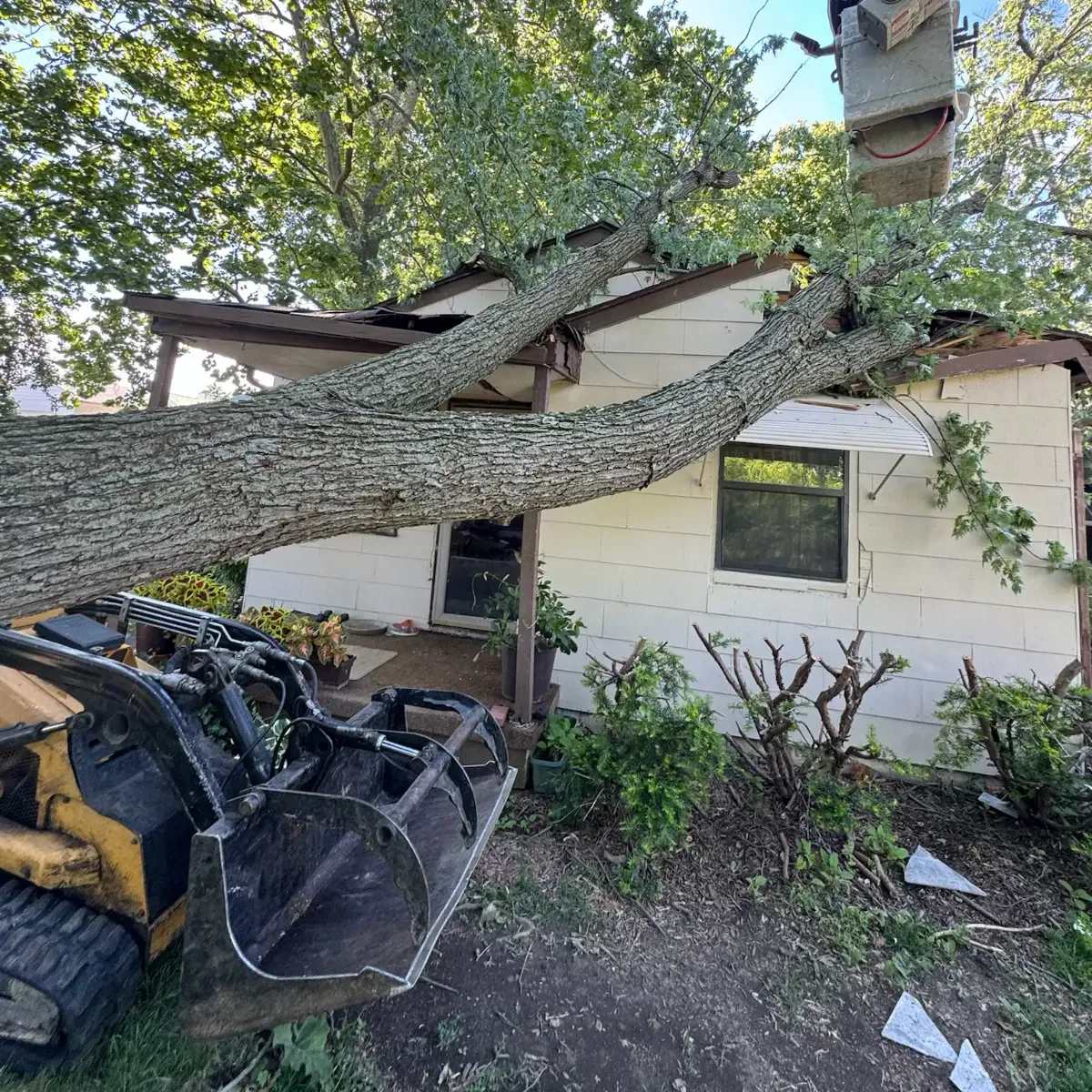 Near Grove City High School: Crane-assisted removal of a dead, dangerous Ash tree situated between two tight-set houses.