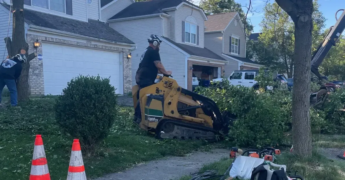 tree service Powell, OH with certified arborist and crane