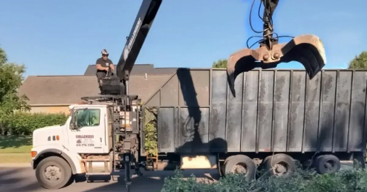 Professional tree service in Dublin, OH