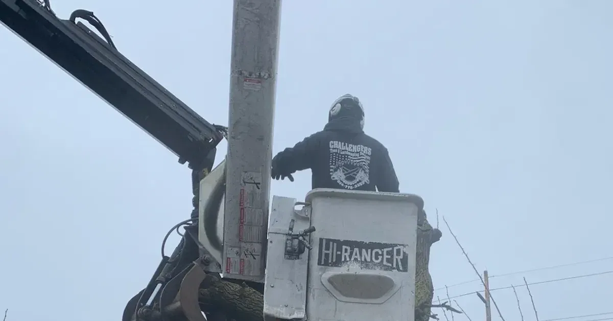 certified arborist from Challengers Tree Service performing tree removal in a Grove City, OH backyard using specialized equipment