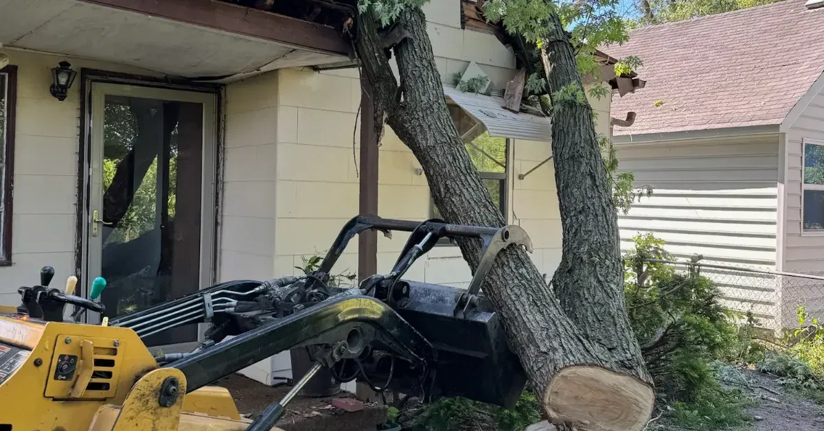 Challengers Tree Service crew safely removing a large tree in a Columbus neighborhood.