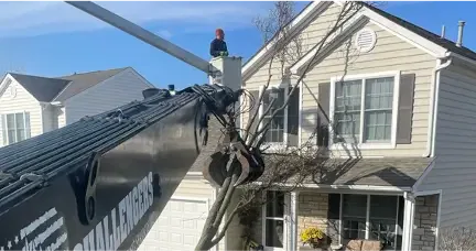 Contact Challengers Tree Service for a quote