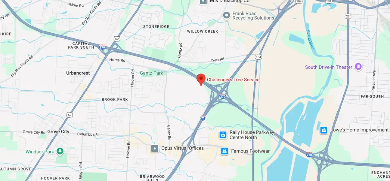 Challengers Tree Service Service Area