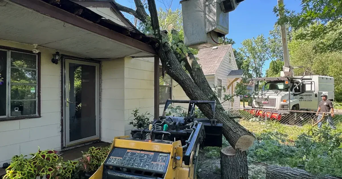 Fallen tree on home after storm in Dublin, OH requiring emergency tree service