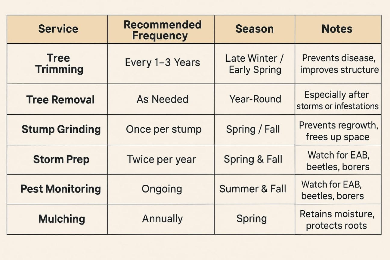 Tree Care Service Comparison Table