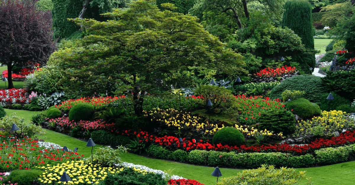 Evergreen shrubs provide year-round greenery in a Columbus yard
