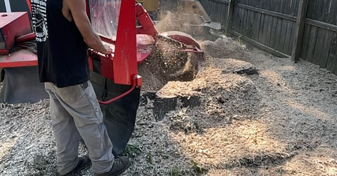 A stump grinding machine removing a tree stump in a residential yard