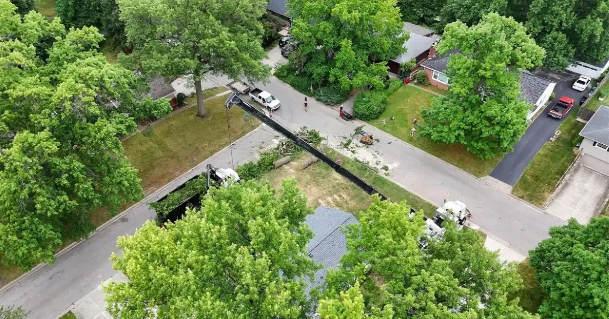 Challengers Tree Service crew clearing land lot Columbus