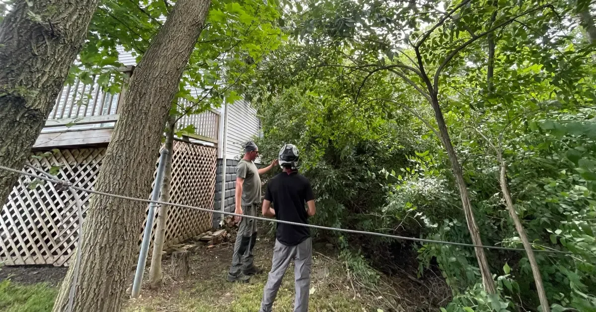 Shrub trimming service in residential yard Columbus Ohio