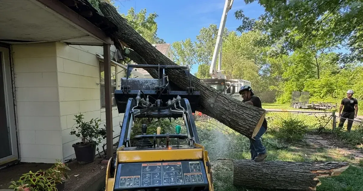 Challengers Tree Service crew removing storm-damaged oak tree in Columbus, OH