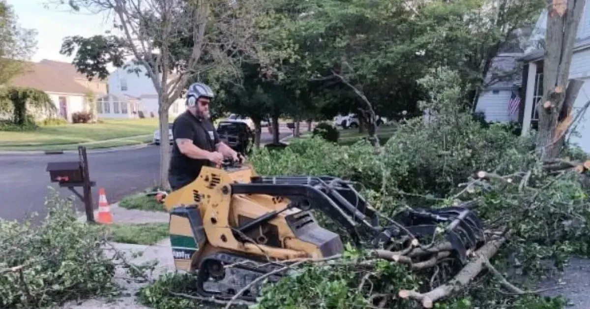Leaning tree with exposed roots showing early signs of structural failure USA