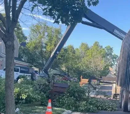 Emergency tree removal in Columbus, Ohio, after storm damage, with an insurance adjuster on-site