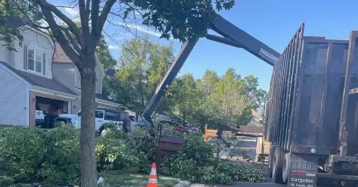 Emergency tree removal in Columbus, Ohio, after storm damage, with an insurance adjuster on-site