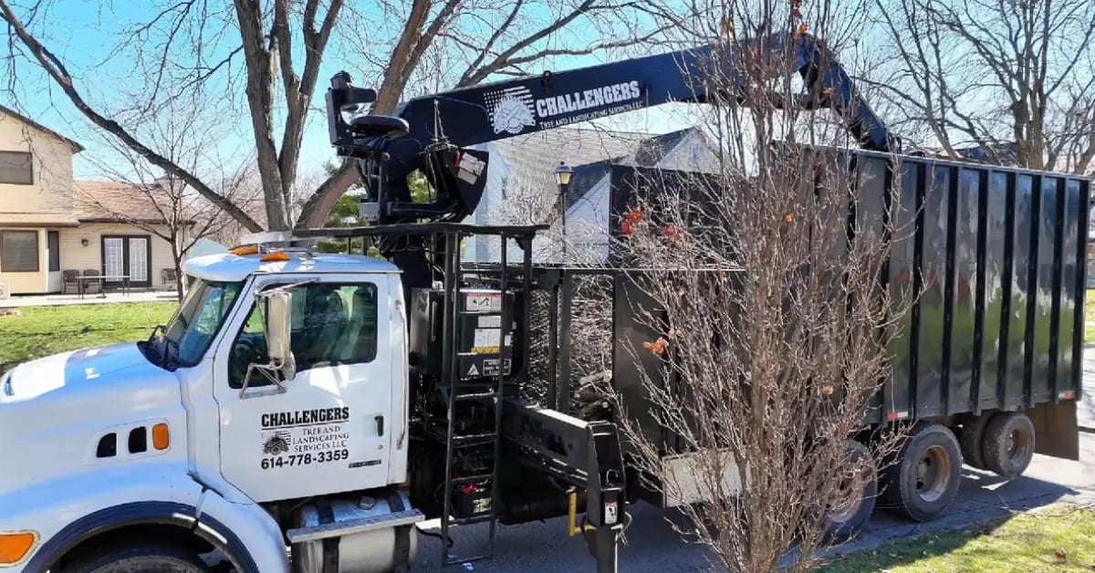 Experienced Tree Service Near Me