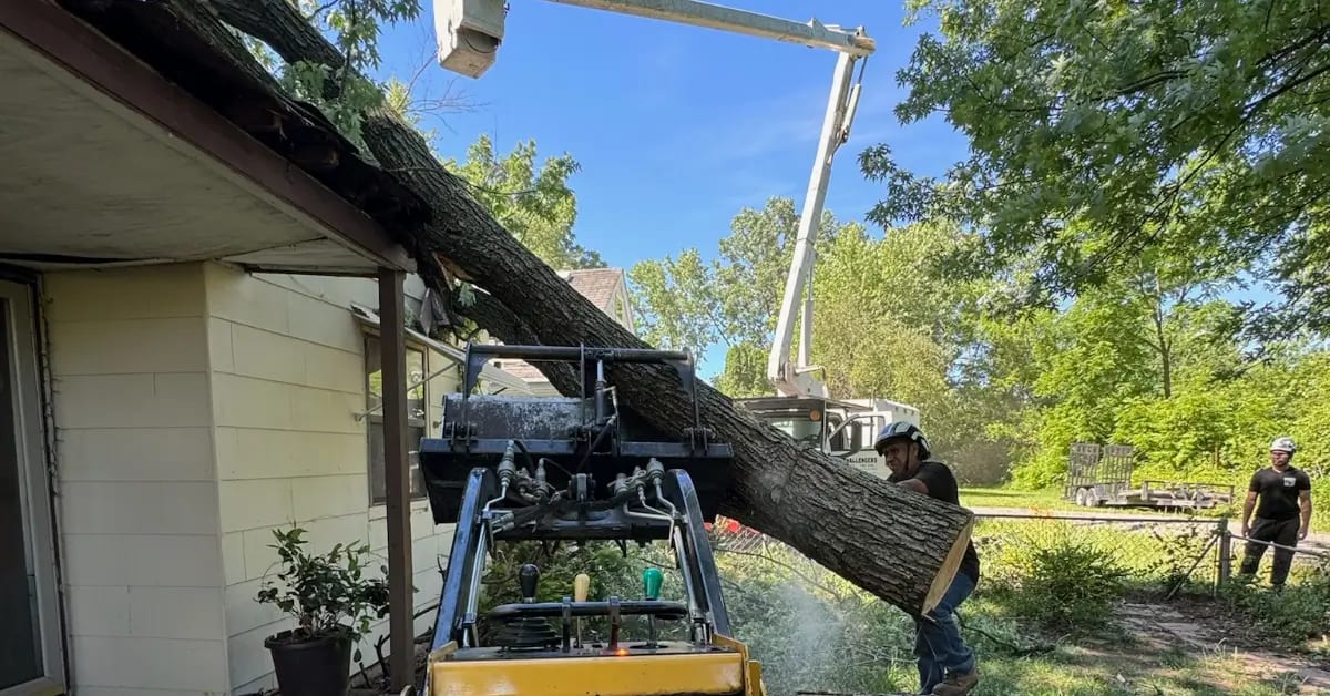 “24/7 emergency tree removal by Challengers Tree Service