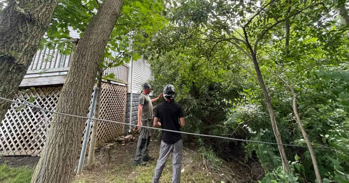 Shrub trimming service in residential yard Columbus Ohio
