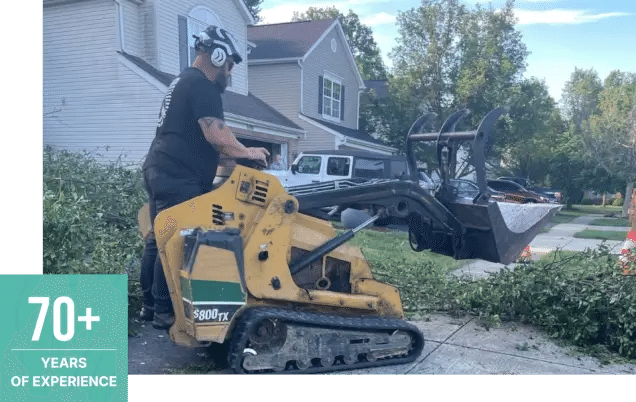 About Challengers Tree Service