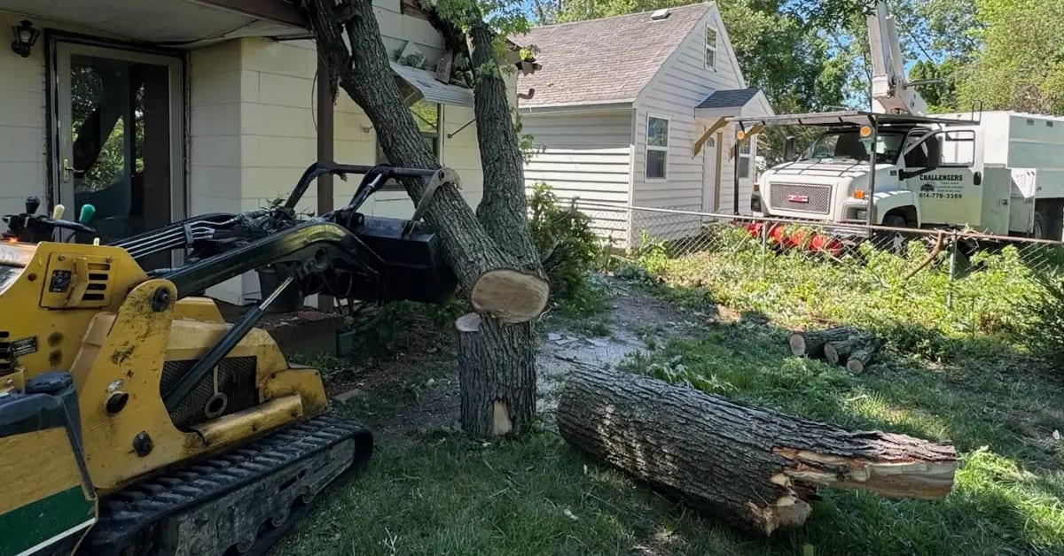 Do I Need a Permit for Tree Removal in Columbus OH? Complete Guide