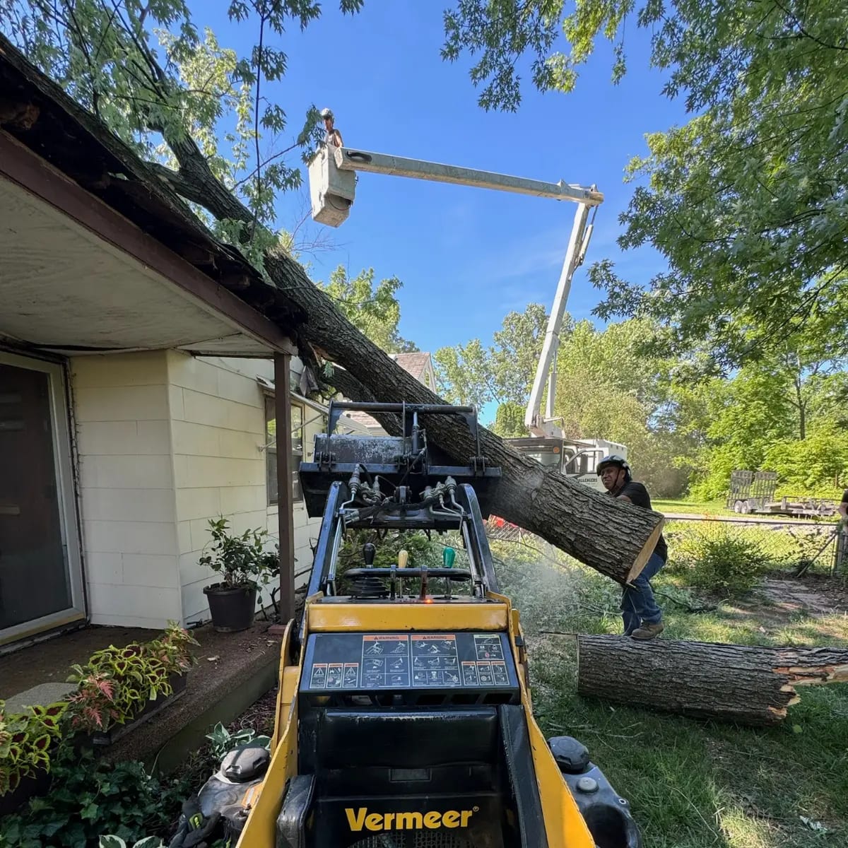 Challengers Tree Service crew operating heavy equipment for a large-scale tree removal in Grove City, OH.