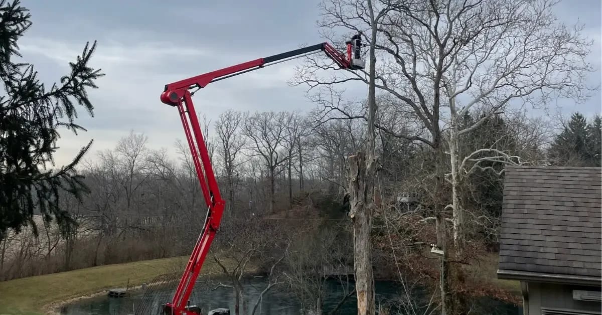 tree service columbus oh