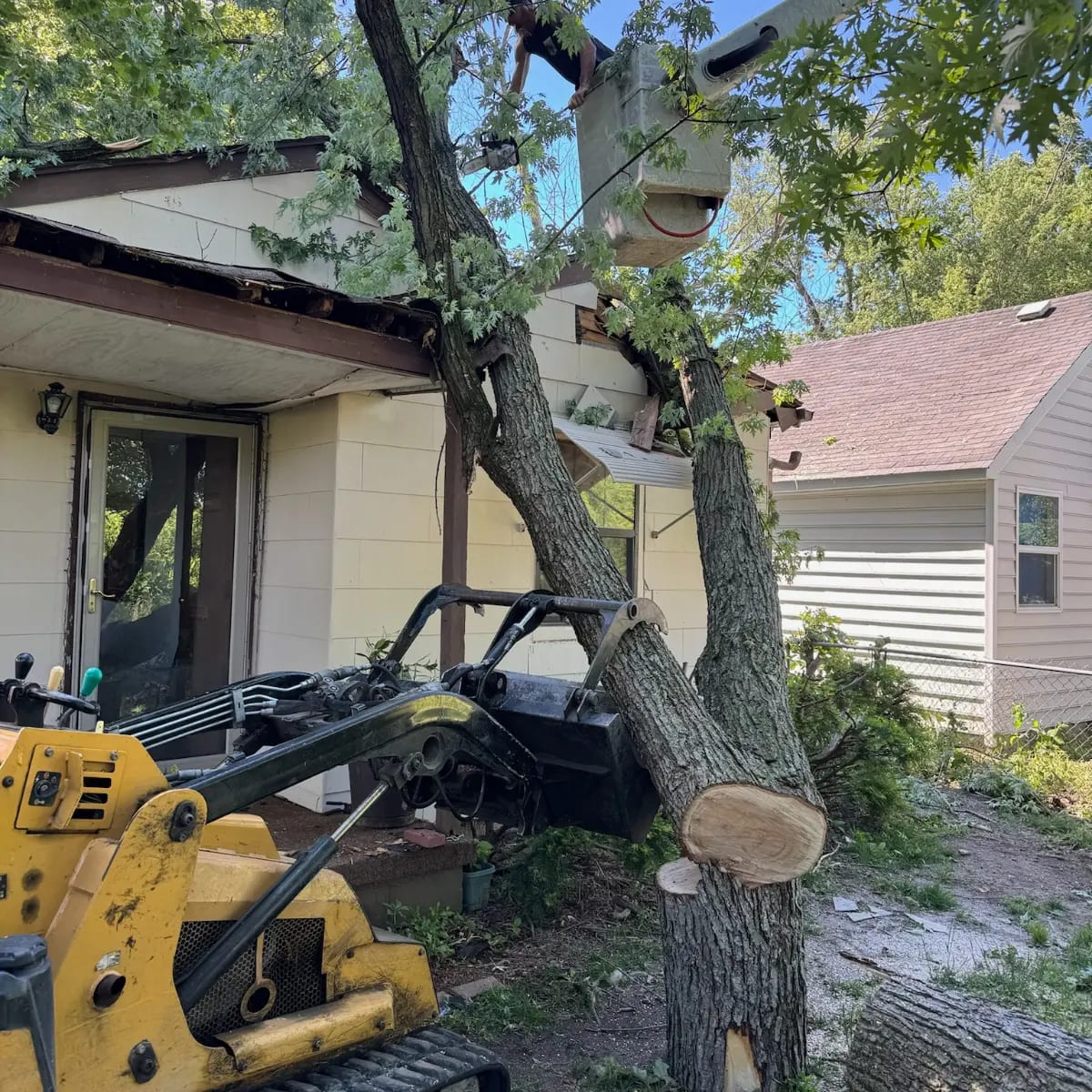 tree service in New albany OH