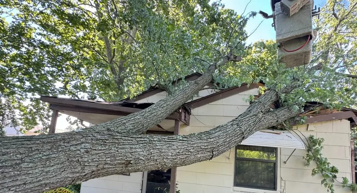 Emergency tree removal crew using a crane to lift a tree off a house