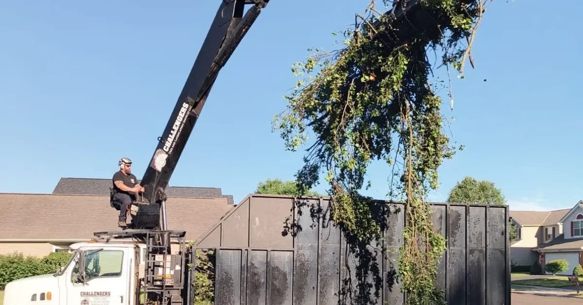 emergency tree removal Columbus OH
